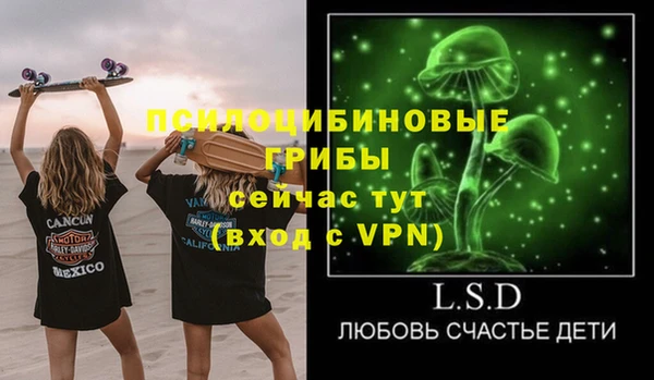дживик Губаха