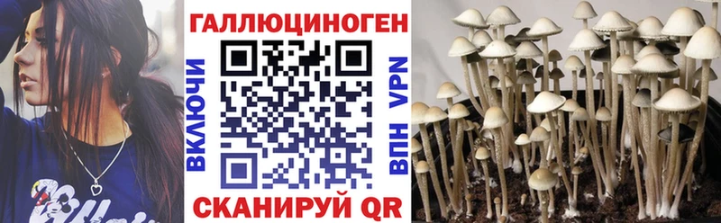 продажа наркотиков  Севск  Галлюциногенные грибы Magic Shrooms 